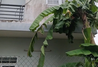 Bán Gấp Nhà Đẹp Thủ Đức - Đường Hoàng Hữu Nam, 68m², 3PN, Giá Cực Hấp Dẫn!